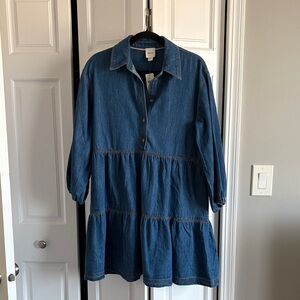 Blue Denim Button-Up Dress